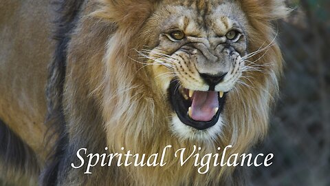 Spiritual Vigilance