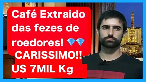 Café exóticos extraídos das fezes dos animais Civeta, Elefante, macaco e Ave Jacu no brasil.