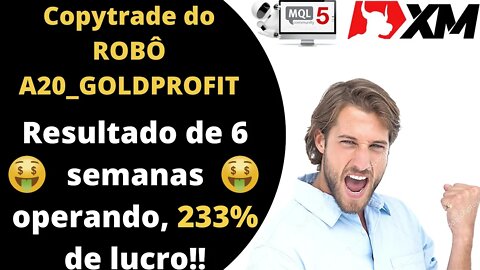 COPYTRADE do Robô A20_GOLDPROFIT 233% de LUCRO em 6 semanas! E você vai perder essa oportunidade?