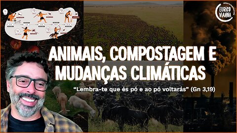 Como a pecuária pode fazer parte das soluções climáticas