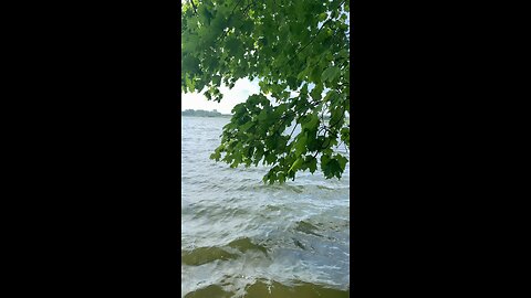 Bass fishing potato creek state park