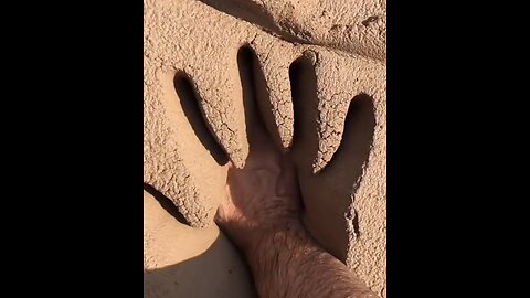 Its Very Satisfying‼️🤩🤤 Relaxing Videos