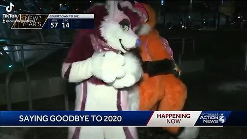 Pittsburgh furries