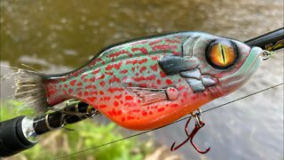 brush tail fishing lures part 2 - longear sunfish and something else…