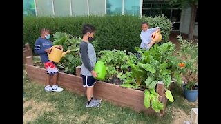 MPS students learning life skills thanks to greenhouse project