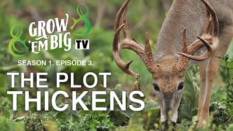 The Plot Thickens | Grow 'em Big TV