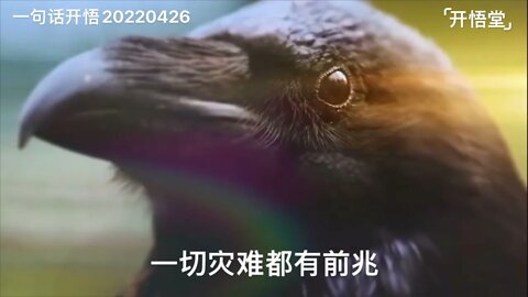 一句话开悟20220426