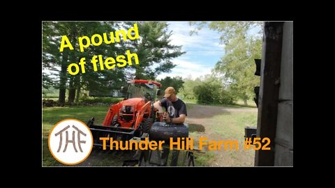 Thunder Hill Farm #52 - A pound of flesh