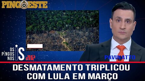 Desmatamento na Amazônia triplicou com lula em março [PAVINATTO]