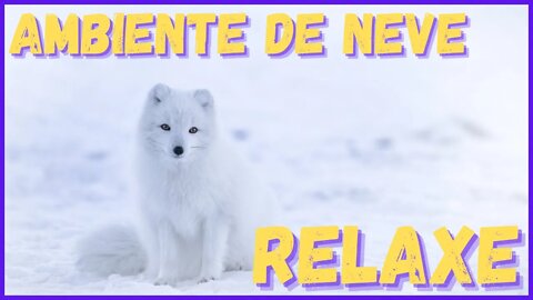 ♦ Ambientação de neve para relaxar imediatamente! Durma, medite, estude, relaxe!