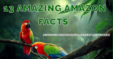 13 Fascinating Facts About the Amazon Rainforest