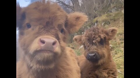 Rainboy and Princess are the cutest babies we’re ever had🥰 look at them!🫶🏼Cute