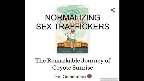 Book Review- The Remarkable Journey of Coyote Sunrise- AKA Normalizing SEX TRAFFICKERS