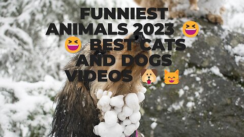 MEOW~ So Funny! Funniest Cats and Dogs 2023 😺🐶