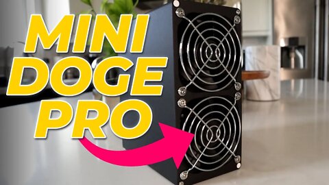 Mini Doge Pro Miner | Goldshell Mini Doge