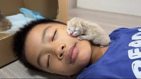 The newborn kitten fell asleep on my face! Mother cat gave birth to kittens.Father cat. Cute animal