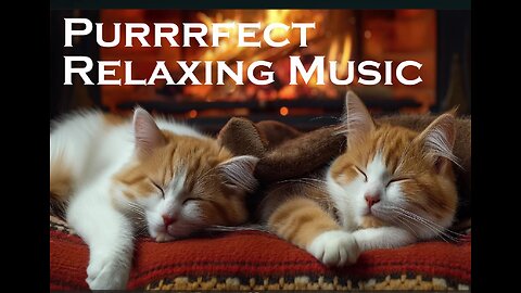 Purrrfect Relaxing Music