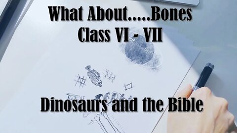 What About....... Bones - Dinosaurs | Class VI - VII | Reasons for Hope