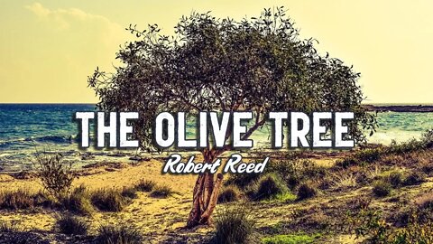 Robert Reed - The Olive Tree