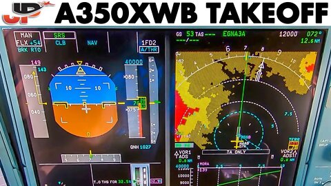 Unique View! AIRBUS A350XWB Instruments + Pilotsview on takeoff from Addis Ababa