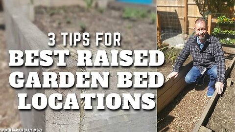 🌱 3 Tips for Best Raised Garden Bed Locations #shorts - SGD 363 🌱