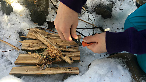 A Winter Hot Dog Hike