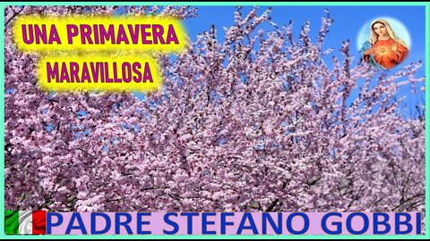 UNA PRIMAVERA MARAVILLOSA - MENSAJE DE MARIA SANTISIMA AL PADRE STEFANO GOBBI