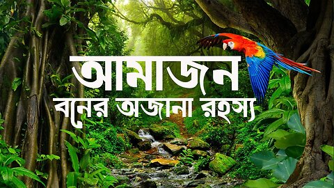 Amazon(আমাজন)- আমাজন অরণ্যের অজানা রহস্য