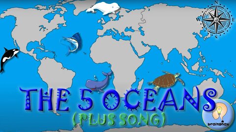 The five oceans song | Ocean Animals | Sea animals