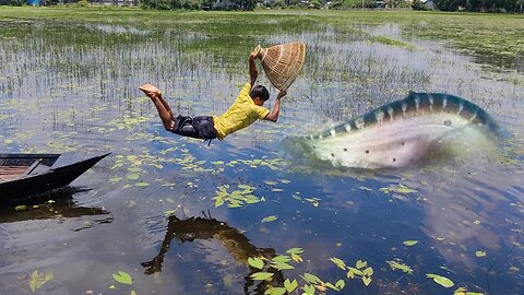 Unique Fishing Skill With Boat In Village Bill! Unbelievable Bamboo Crossbow Fishing Technique