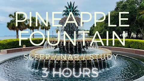 Water Fountain Sounds for Sleep | 3 hours at #Pineapple Fountain in Charleston SC