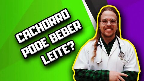 Cachorro pode beber leite e derivados? | Dr. Edgard Gomes | Alimentação natural para Cães