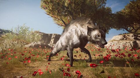 Assassin's Creed Odyssey LEGENDARY ANIMAL QUESTS / The Gods Hyena