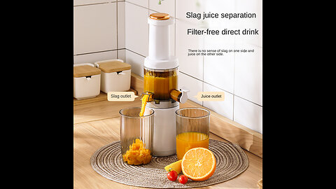 Mini Slow Juicer Screw Cold