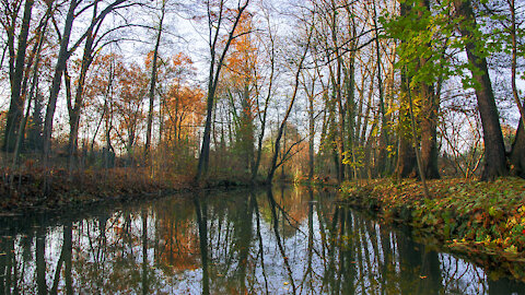 Autumn in the Spreewald