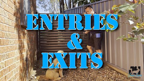 Entries & Exits with your dog