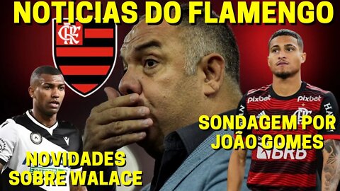 NOVIDADES SOBRE WALACE NO FLAMENGO! FLAMENGO RECEBE SONDAGENS POR JOÃO GOMES! NOTÍCIAS DO FLAMENGO