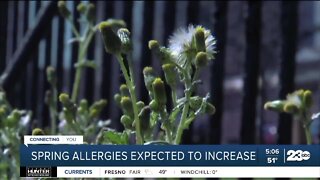 Experts: Spring allergies expected to increase