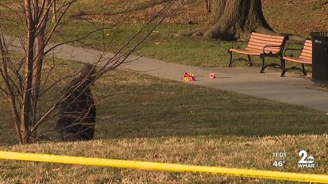 Patterson High School student shot, killed at Joseph E. Lee Park