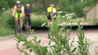 Get paid to pedal: Bike Streets is paying people to ride their bicycles in Denver