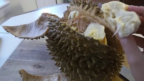 Durian Fruit