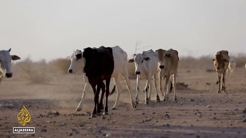 UN : Millions at risk as drought threatens eastern Ethiopia