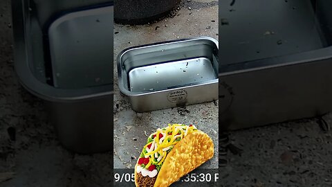 A Taco Visits! 🌮