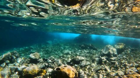 Underwater shot of a coral reef Martinique water mirror reflection ocean waves