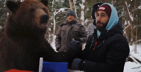 Man vs BEAR - Armwrestling