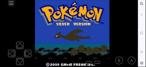 Not exposing myself in Pokémon Silver