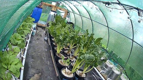 Greenhouse 2 Timelapse Ending 17-05-2023