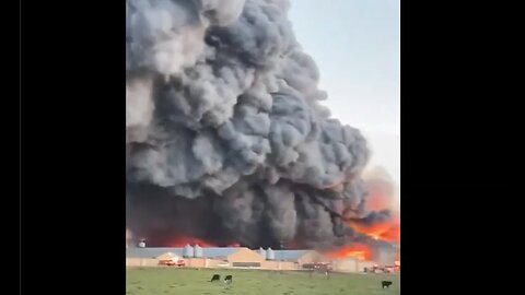 Bryan, Texas - Massive Fire At Feather Crest Farm Chicken Plant