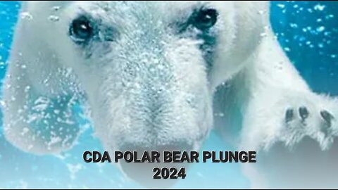 New Years CDA Polar Bear Plunge 2024 | Coeur D'Alene, Idaho 📍 #livestream #cold #freeze