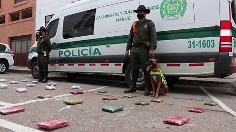 Bodega de mensajería escondía marihuana